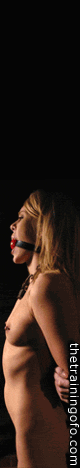 training of o, fetish, bondage, bdsm, sex, slaves